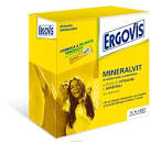 ERGOVIS MINERALVIT 20 BUSTE OROSOLUBILI 30 G - famajoy.it