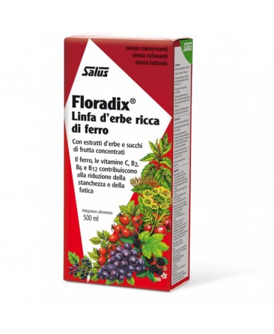 FLORADIX FERRO E VITAMINE 500 ML - famajoy.it