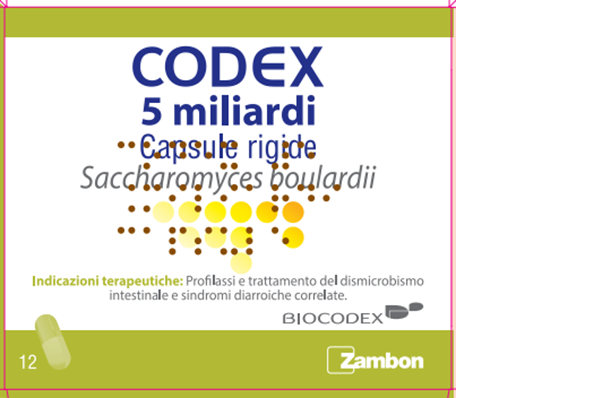 CODEX*12CPS 5MLD 250MG - famajoy.it