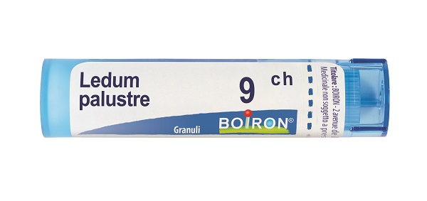 LEDUM PALUSTRE 9 CH GRANULI 4G - famajoy.it