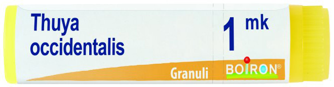 THUYA OCCIDENTALIS MK GLOBULI - famajoy.it