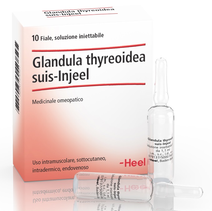 HEEL GLANDULA THYROIDEA SUIS INJEEL 10 FIALE - famajoy.it