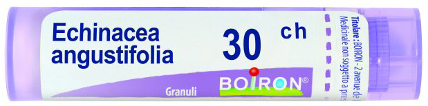 ECHINACEA ANGUSTIFOLIA 30 CH GRANULI - famajoy.it