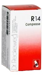 RECKEWEG R14 100 COMPRESSE - famajoy.it