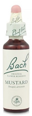 MUSTARD BACH ORIGINAL 10 ML - famajoy.it