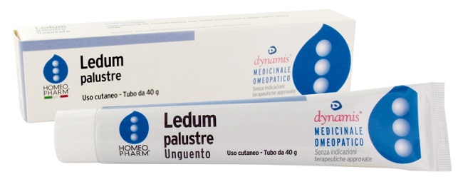 LEDUM PALUSTRE HOMEOPHARM UNGUENTO 40 G - famajoy.it