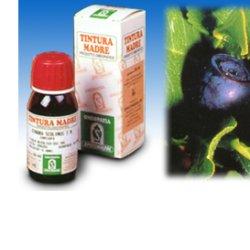 MIRTILLO 31 50ML TM - famajoy.it