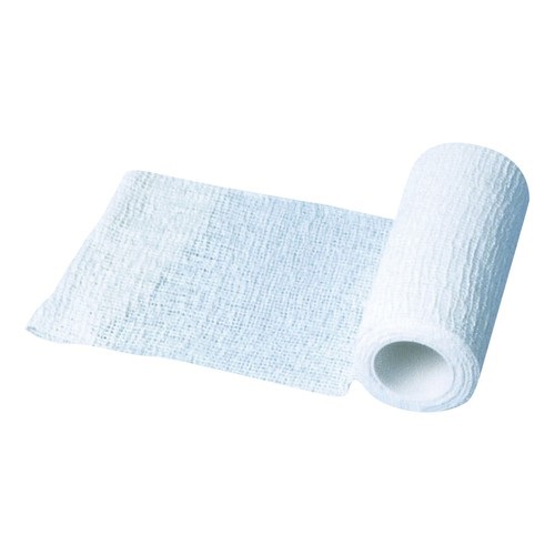 BENDA ELASTICA ZINCABEND CON PASTA ALL'OSSIDO DI ZINCO CM10X5M 1 PEZZO - famajoy.it