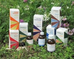 RAEMIL ACHILLEA MACERATO IDROALCOLICO COMP 50 ML - famajoy.it