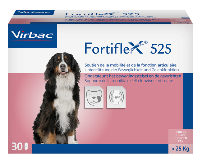 FORTIFLEX 525 MG 30 COMPRESSE APPETIBILI - famajoy.it