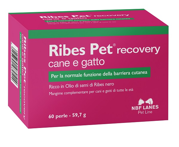 RIBES PET RECOVERY BLISTER 60 PERLE - famajoy.it