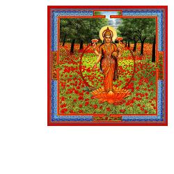 TRIPHAURUM GOCCE 30 ML - famajoy.it