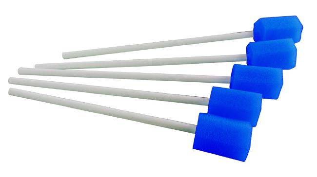 BASTONCINO PULIZIA CAVO ORALE 5 PEZZI - famajoy.it