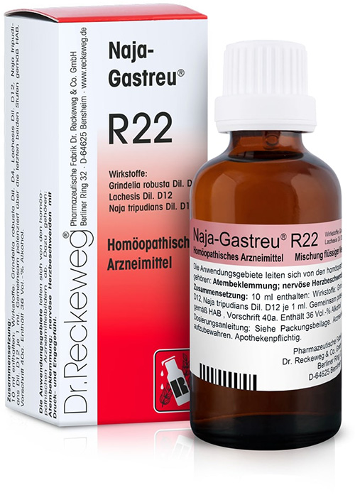 RECKEWEG R22 GOCCE 22 ML - famajoy.it