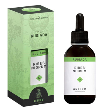 RIBES NERO ASTRUM RUGIADA 50 ML - famajoy.it