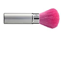 TLECLERC PINCEAU RETR PM ARG - famajoy.it