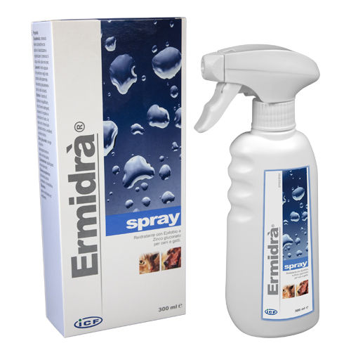 ERMIDRA' SPRAY 300 ML - famajoy.it