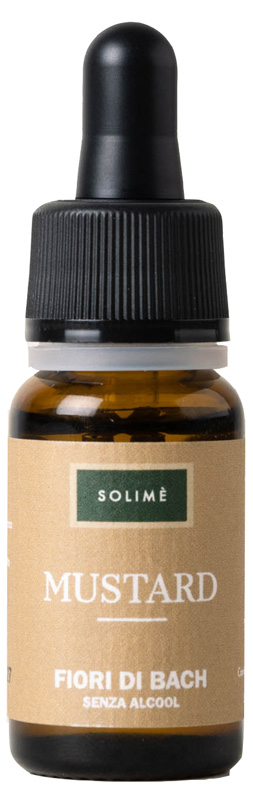 MUSTARD 10 ML - famajoy.it