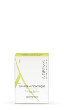 LES INDISPENSABLES PANE SURGRAS 100 G - famajoy.it