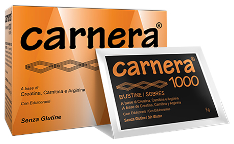 CARNERA 1000 18 BUSTINE - famajoy.it