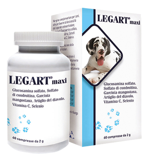 LEGART MAXI 60 COMPRESSE 2 G - famajoy.it