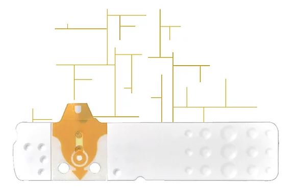 STRISCE MISURAZIONE GLICEMIA LINEA D ORO 25 PEZZI - famajoy.it