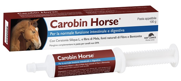 CAROBIN HORSE PASTA APPETIBILE SIRINGA 100 G - famajoy.it