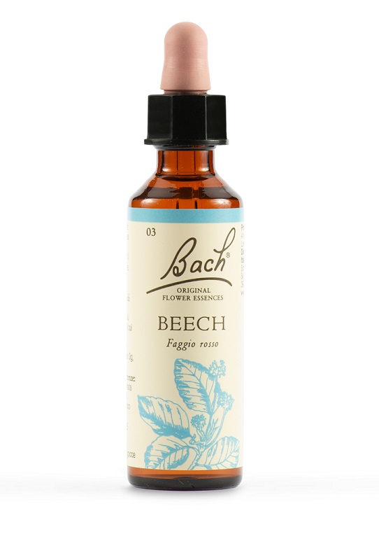 BEECH BACH ORIG 20 ML - famajoy.it