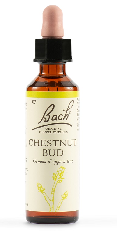 CHESTNUT BUD BACH ORIG 20 ML - famajoy.it