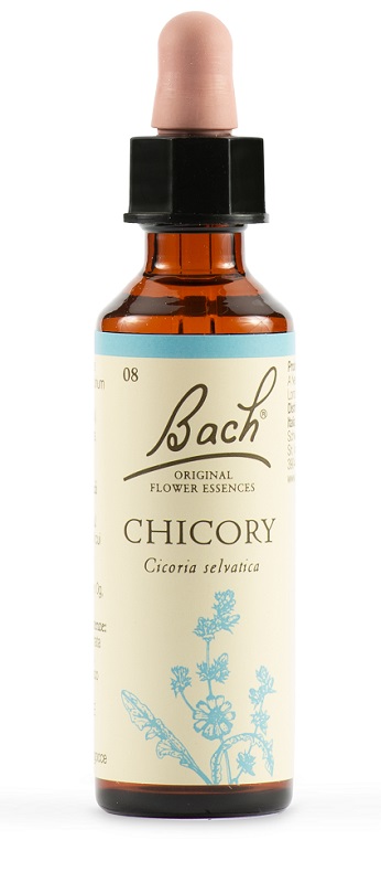 CHICORY BACH ORIG 20 ML - famajoy.it