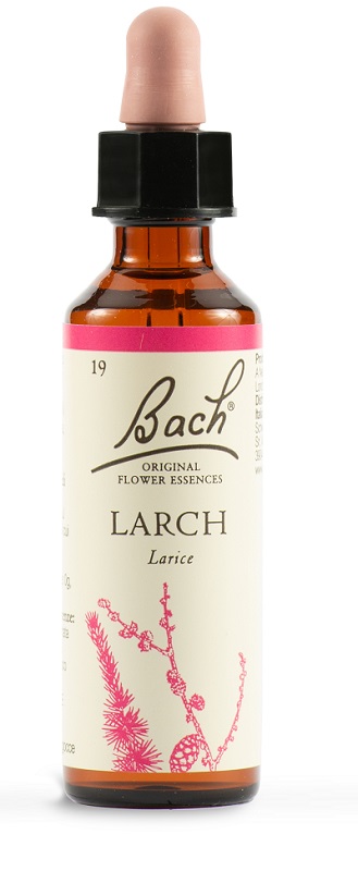 LARCH BACH ORIG 20 ML - famajoy.it