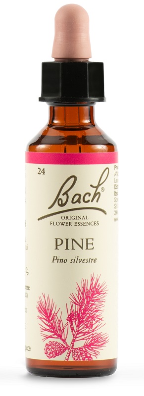 PINE BACH ORIG 20 ML - famajoy.it