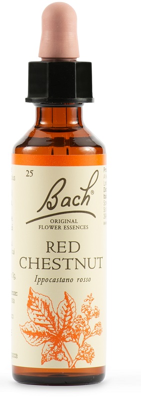 RED CHESTNUT BACH ORIG 20 ML - famajoy.it