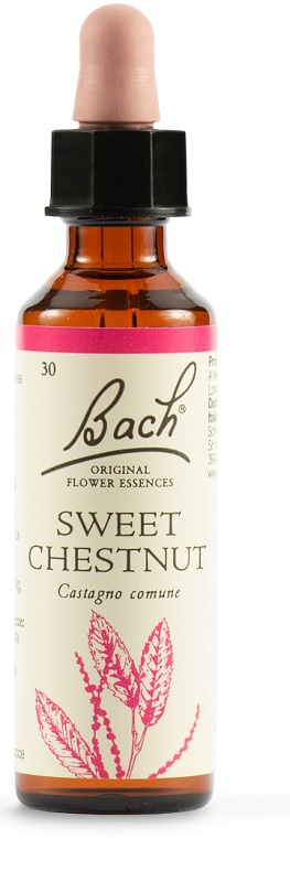 SWEET CHEST BACH ORIG 20 ML - famajoy.it