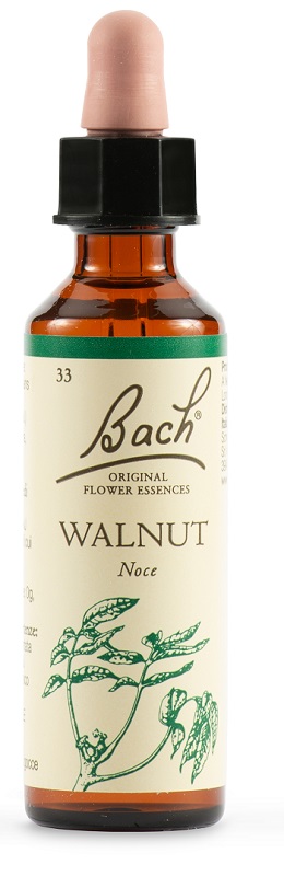 WALNUT BACH ORIG 20 ML - famajoy.it
