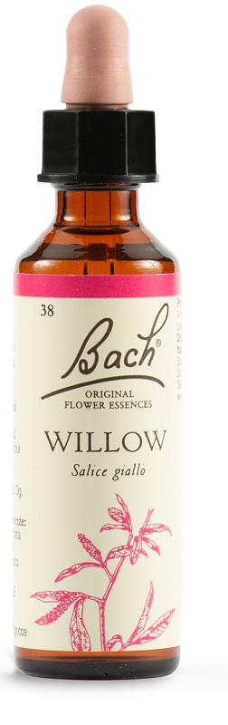 WILLOW BACH ORIG 20 ML - famajoy.it