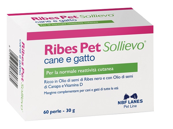 RIBES PET SOLLIEVO BLISTER 60 PERLE - famajoy.it