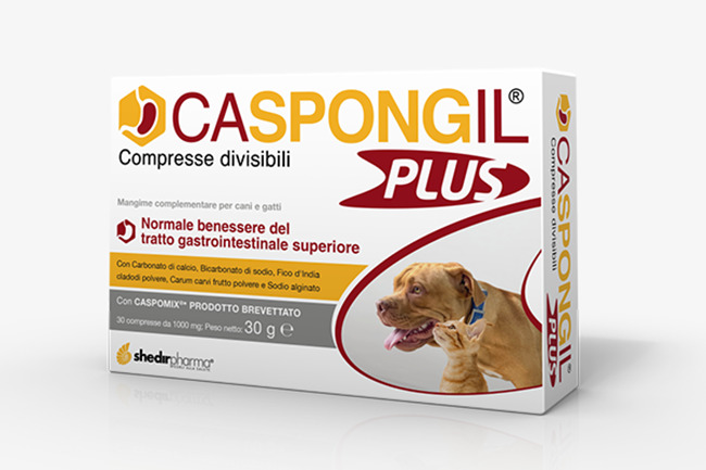 CASPONGIL PLUS 30 COMPRESSE - famajoy.it