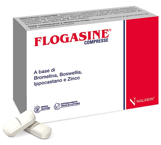 FLOGASINE 20 COMPRESSE - famajoy.it