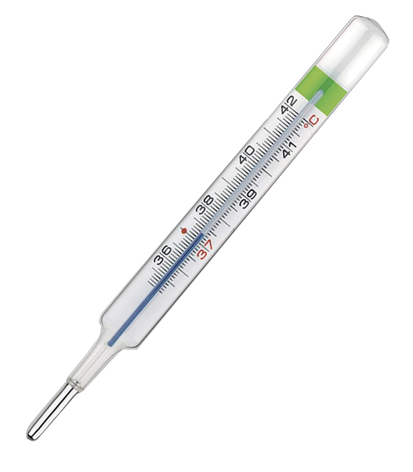 COLPHARMA THERMO GREEN PLUS TERMOMETRO - famajoy.it