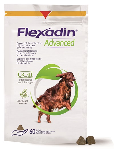 FLEXADIN ADVANCED CANE TUTTE LE TAGLIE 60 TAVOLETTE APPETIBILI - famajoy.it