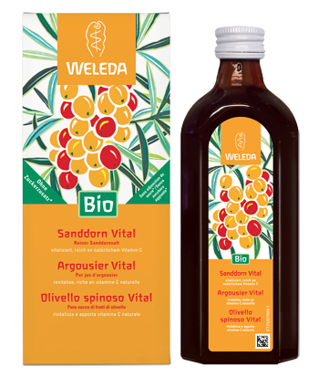 OLIVELLO SPINOSO VITAL SUCCO DI FRUTTA 250 ML - famajoy.it