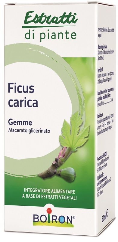 FICUS CARICA BOIRON MACERATO GLICERICO 60 ML - famajoy.it