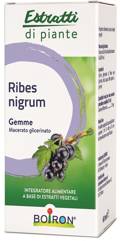 RIBES NIGRUM MACERATO GLICERICO 60 ML INT - famajoy.it