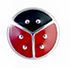 BJT980 ORECCHINI POST-FORATURA LADY BUG 6MM - famajoy.it