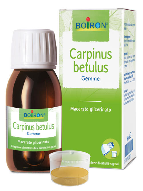 CARPINUS BETULUS MACERATO GLICERICO 60 ML INT - famajoy.it