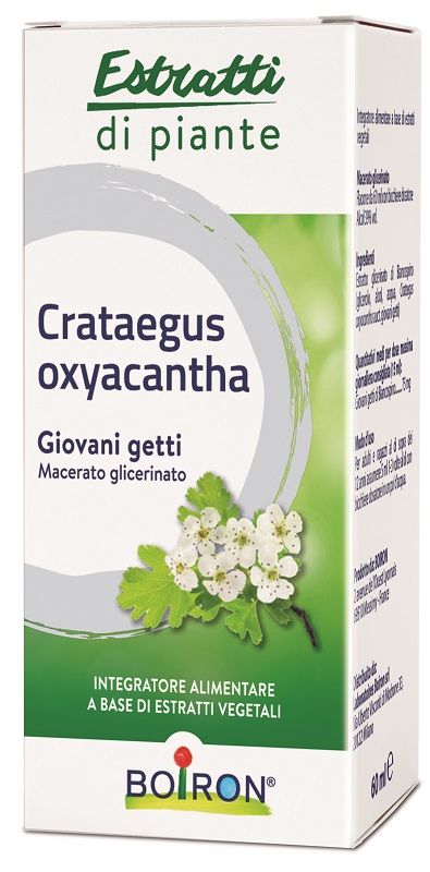 CRATAEGUS OXYACANTHA MACERATO GLICERICO 60 ML INT - famajoy.it