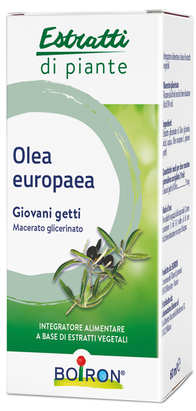 OLEA EUROPAEA MACERATO GLICERICO 60 ML INT - famajoy.it