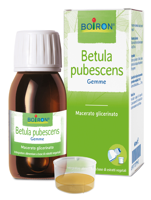 BETULA PUBESCENS MACERATO GLICERICO 60 ML INT - famajoy.it