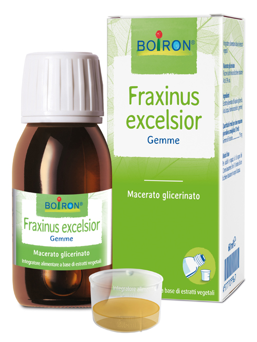 FRAXINUS EXCELSIOR MACERATO GLICERICO 60 ML INT - famajoy.it